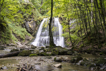 Wasserfälle im Wald - 219957521