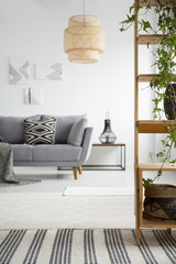 Plants on shelves and lamp above grey sofa in white apartment interior with posters. Real photo