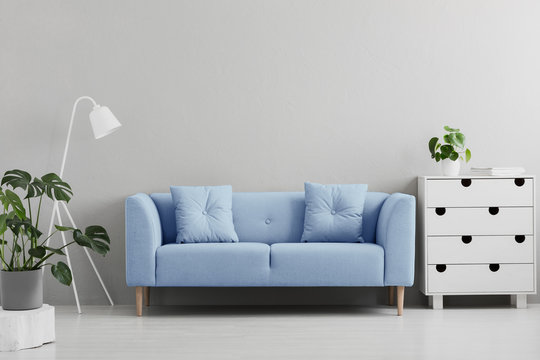Blue sofa between white lamp and cabinet in grey living room interior with plants. Real photo