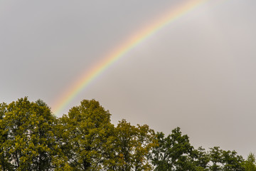 Rainbow in the sky.