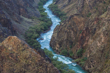 river with a forest in a deep stone canyon,top view 