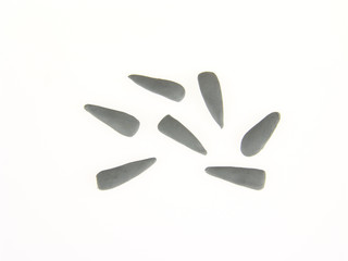 Fish pike - master class modeling of animals from plasticine 01.