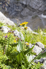Karwendel Mittenwald