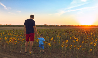 Father and son admire the picturesque sunset in the field with sunflowers.