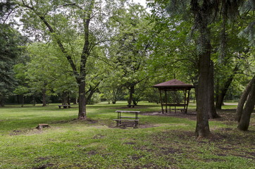 Wooden bench, alcove and table on a meadow in the forest at natural old West park, Sofia, Bulgaria 