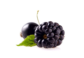 Blackberry with leaf and black currant on White Background