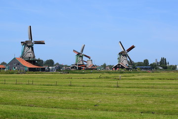 Long View of Windmills with Green Field at Zaanse Schaans, Netherlands