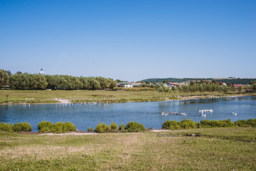 Lake with geese. General view of the rural landscape.