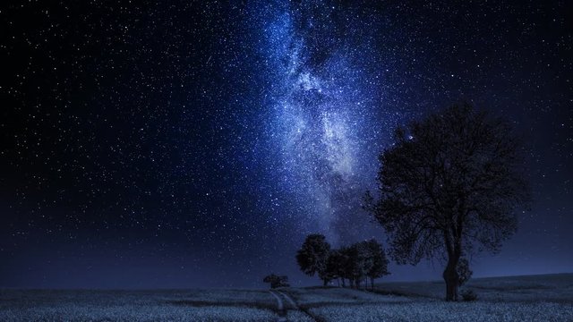 Moving milky way and field with trees at night, timelapse, 4K