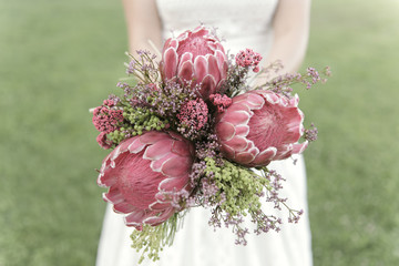 Bridal bouquet. Close up of a pastel colored bridal bouquet of proteas.