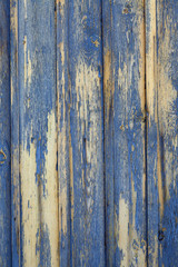 Yellow vintage wooden background or texture with knots and peeled blue paint. Old wall with flaky paint, closeup vertical view