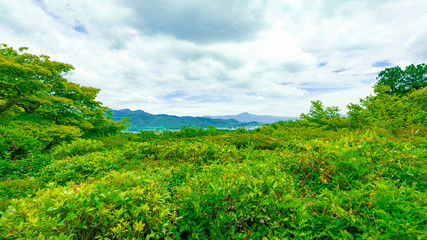 Fototapeta na wymiar 京都嵐山(Kyoto Arashiyama)