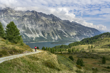 Senior woman, riding here e-mountain bike on the famous trails around the lakes in the upper Engadin, between Saint Moritz and Maloja, Engadin, Switzerland with stunning views on the lake of Silvaplan