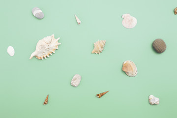 Flat lay. Top view. Frame of shells of various kinds on a green blue background. Seashells and starfish on a pastel background. Vacation concept