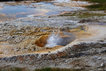 Spring Pool, Upper Geyser Basin, Yellowstone National Park, Wyoming, USA