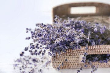 Wicker tray with beautiful lavender flowers on white background, closeup