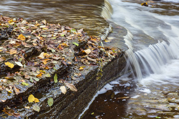 Small waterfall in a creek with autumn leaves