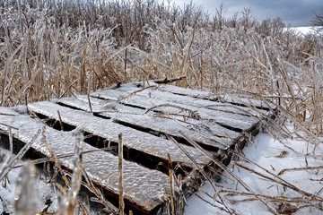 Frozen Pallet in a Field after an Ice Storm