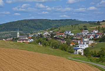 Fototapeta na wymiar Gansingen, Kanton Aargau