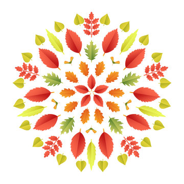 Autumnal mandala. Fall colorful leaves kaleidoscope isolated on white background. Paper cut 3d flat style, vector illustration