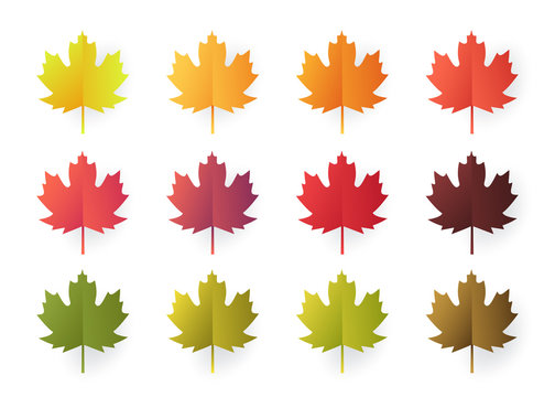 Colorful autumn leaves set isolated on white background. Paper cut 3d flat style, vector illustration