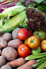 Antioxidant appetite vegetables, antioxidant food harvest.