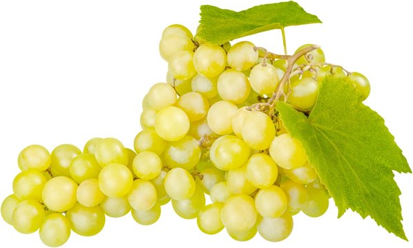 White Grape Cluster With Leaves - Isolated
