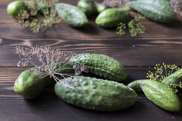 Fresh green cucumber with flowering dill on a wooden background