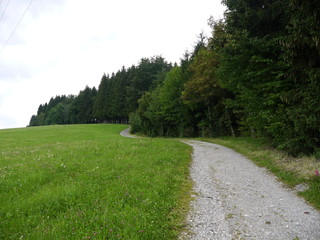 Obraz premium an idyll path curving along a forest line - clean nature scene - relaxation and recreation in nature