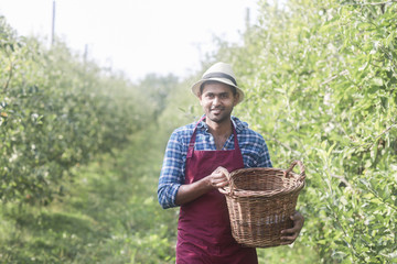 Junger Mann mit Hut und Sch&uuml;rze ernten