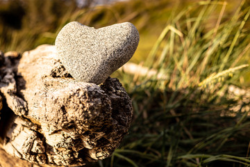 stone heart