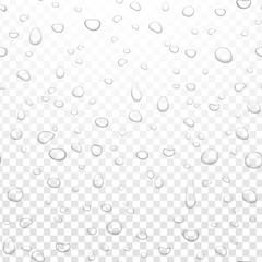 Realistic vector water rain drops on alpha transparent background. Condensed pure droplets. Vector clear water bubbles on window glass.