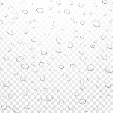 Realistic vector water rain drops on alpha transparent background. Condensed pure droplets. Vector clear water bubbles on window glass.
