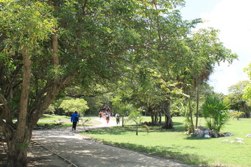 personas caminando en parque con naturaleza verde