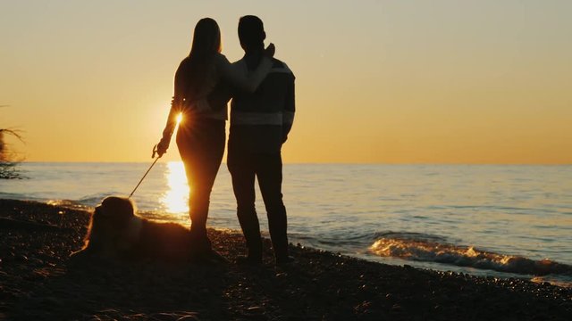 Young romantic couple admiring the sunset over the sea. Near their dog