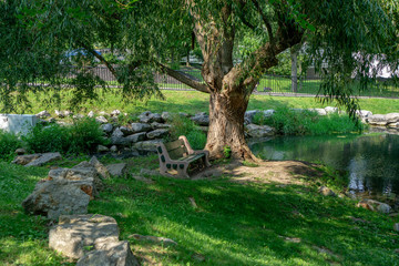 Bench under tree next to pond at park