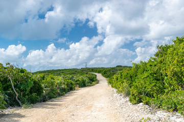 Fototapeta na wymiar Countryside landscape in the Bahamas. Concept. Road less traveled.