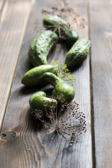 Fresh green cucumber with flowering dill on a wooden background