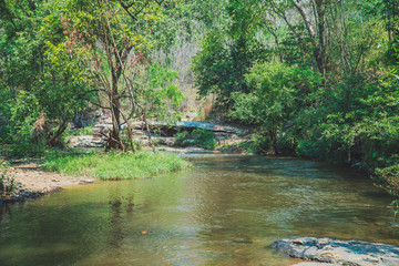 The river in tropical forest, Thailand.