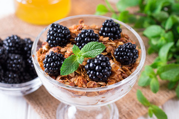 Healthy layered dessert with yogurt, granola, blackberry in glass on wood background