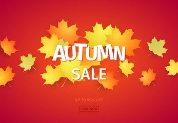Fototapeta na wymiar Autumn sale banner