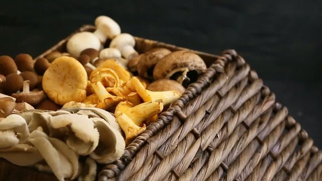 Variety of uncooked wild forest mushrooms in a wicker basket on a black background, Rotation 360. Mushrooms chanterelles, honey agarics, oyster mushrooms, champignons, portobello, shiitake
