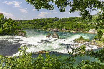 Fototapeta premium Rheinfall