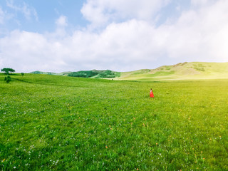 Aerial woman on the grassland