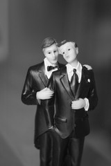 Cake topper gay wedding couple