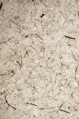 recycled abstract nature paper background