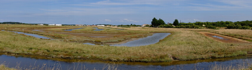 Le long de la SEUDRE (Charente Maritime)