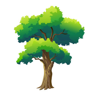 illustration tree for cartoon
