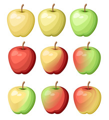 Set of nine different color apples. Fresh delicious fruit illustration. Flat vector illustration isolated on white background