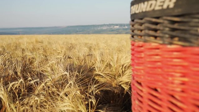 Aerial view of a mature wheat field under a clear blue sky with trees on both sides of the hot air balloon gold nature agriculture country countryside forest garden fly sunset sunrises slow motion